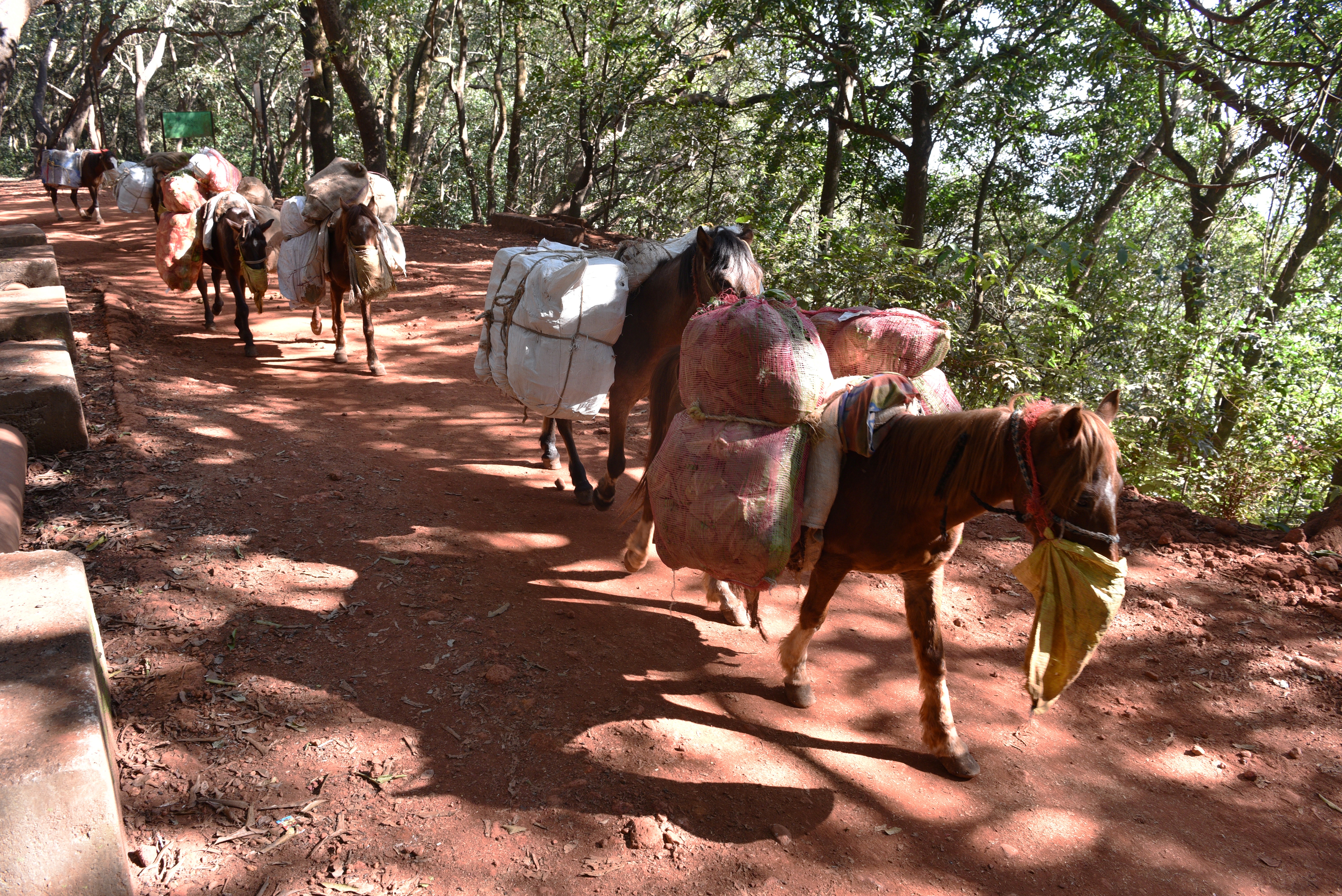 MATHERAN TOURISM MANSOON TRAVEL INDIA TOURISM MANSOON TRIP TO MATHERAN