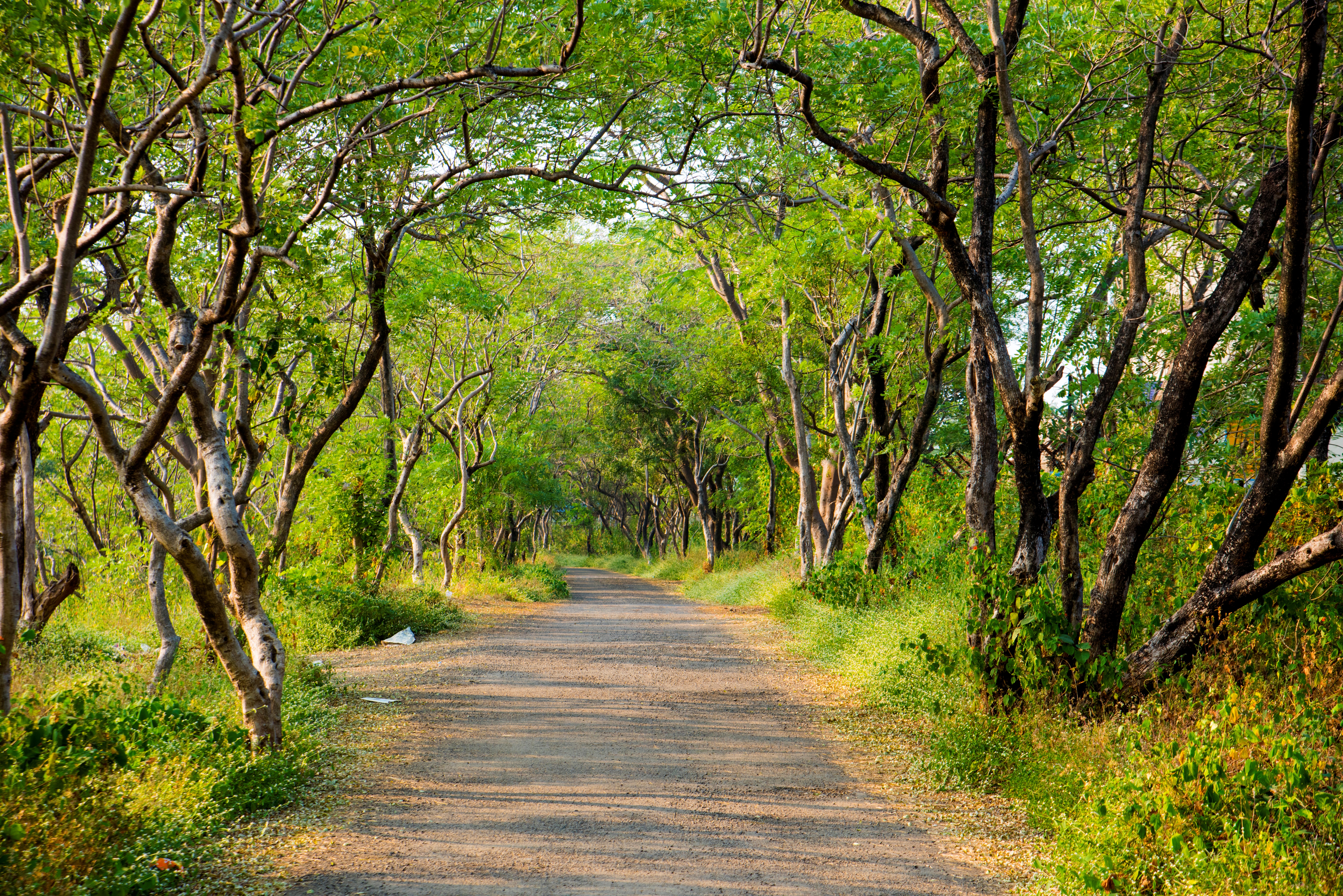 MATHERAN TOURISM MANSOON TRAVEL INDIA TOURISM MANSOON TRIP TO MATHERAN