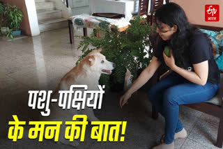A Pune woman Uma knows everything about the minds of animals and birds.