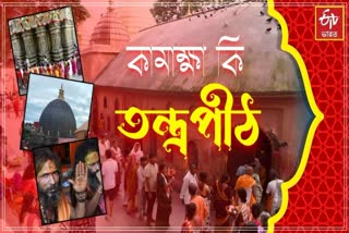 KAMAKHYA TEMPLE AMBUBACHI 2025