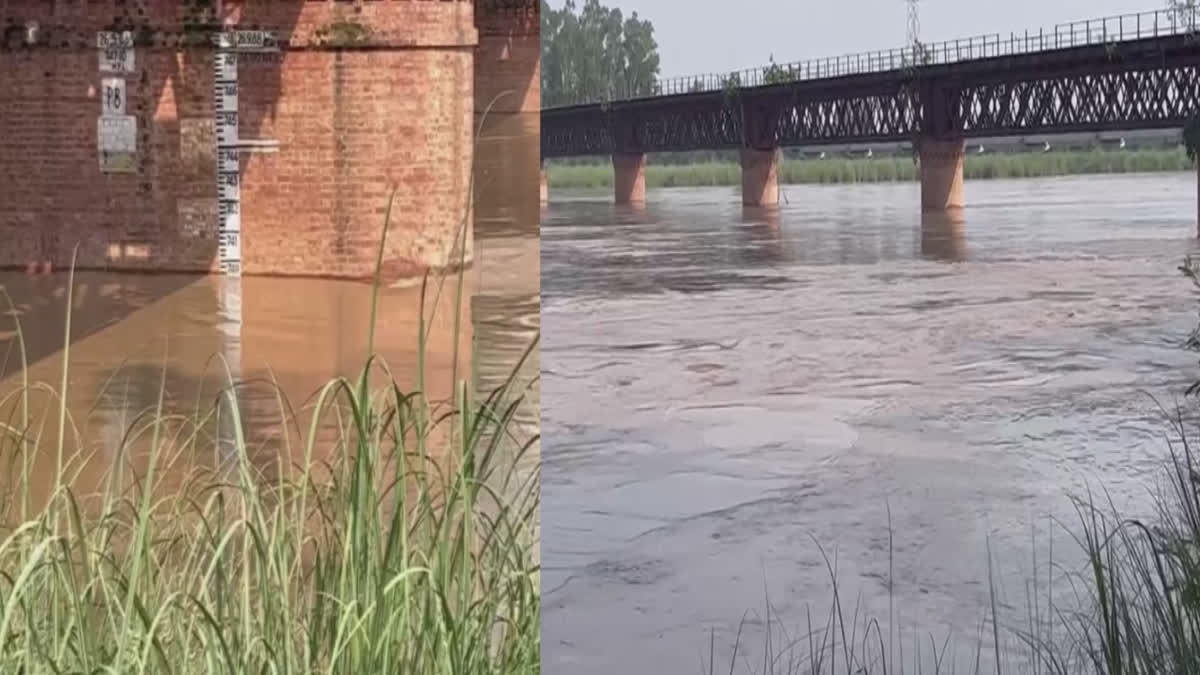 After the rain, the water level in Beas river has increased in Amritsar