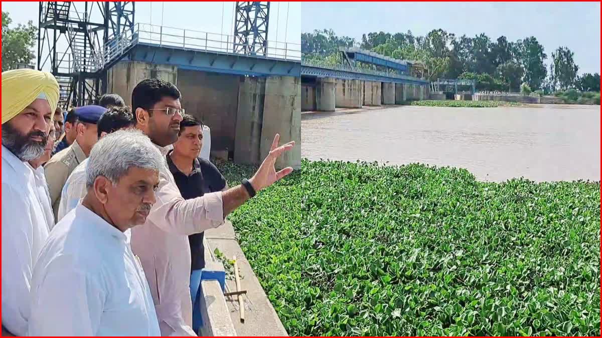 Dushyant Chautala visits flood affected area in Sirsa