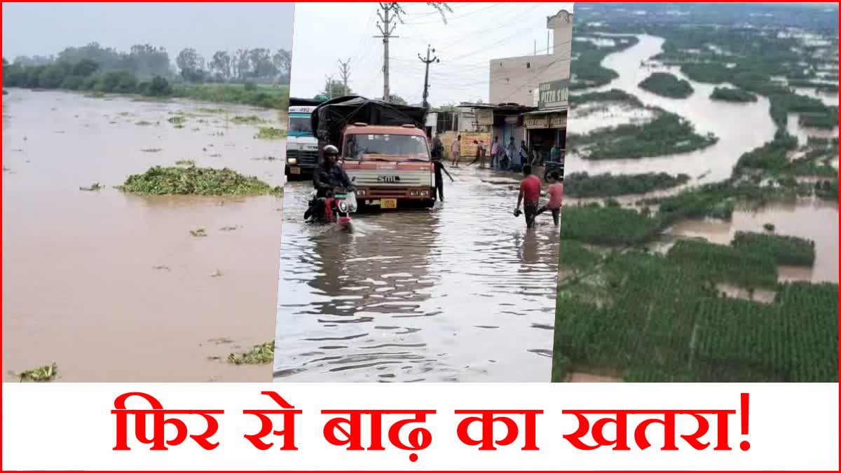 Flood Alert In Haryana