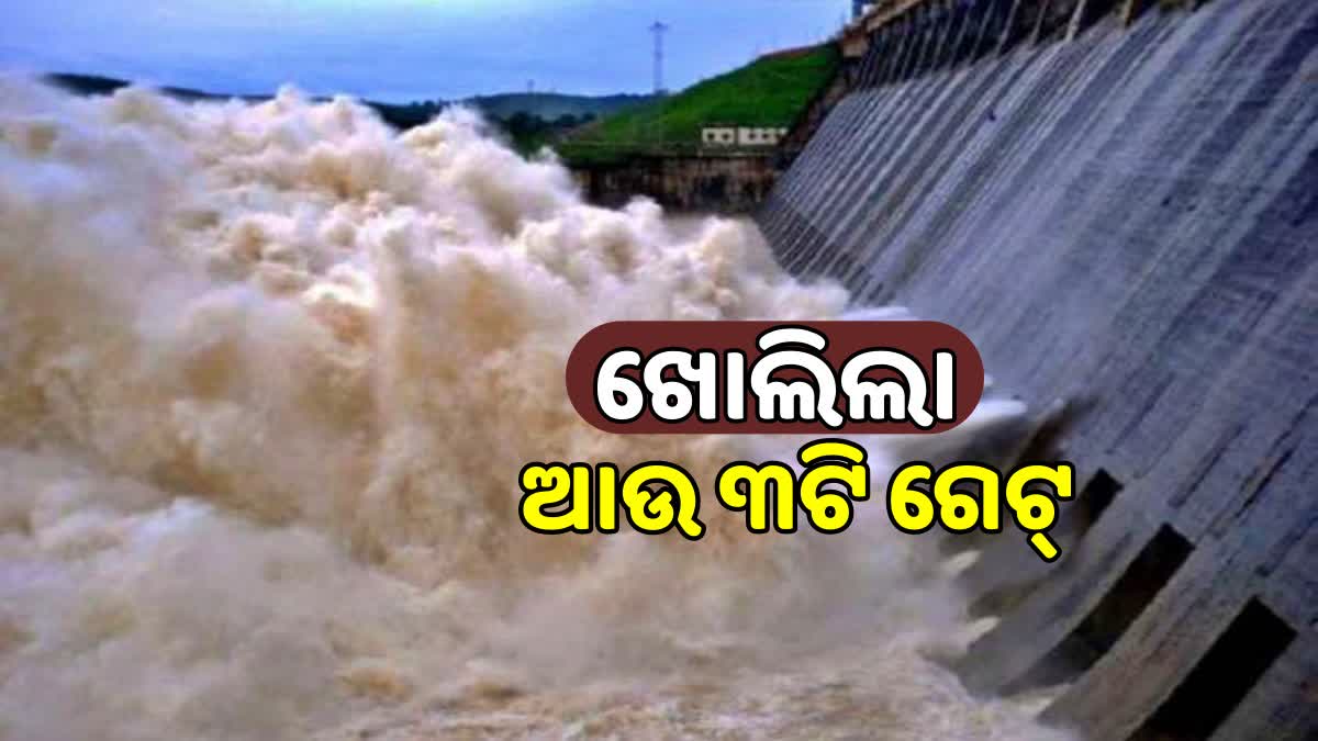 3 more gates of hirakud dam open