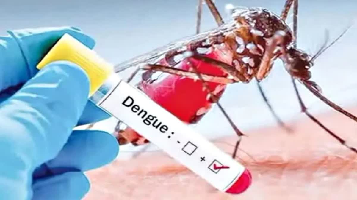 dengue situation in odisha