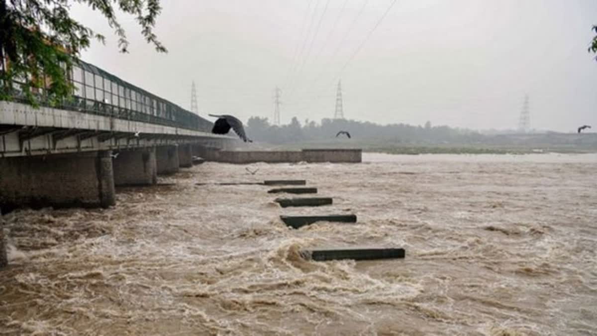 Delhi Yamuna Water Level Today