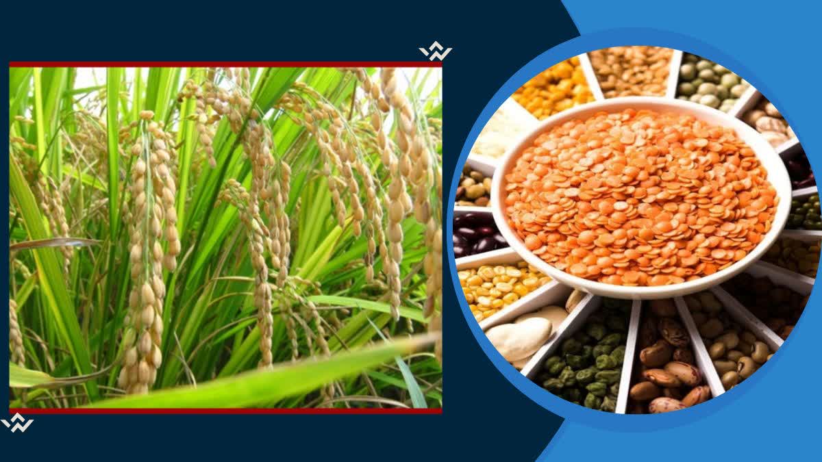 Kharif Season Crops