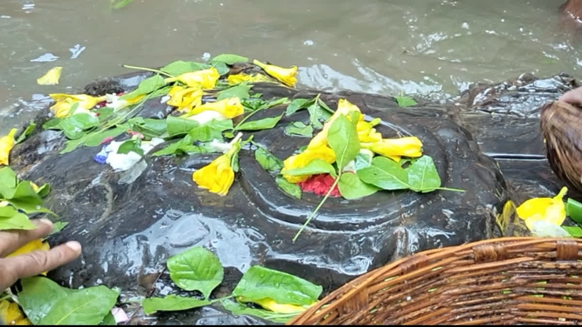 Dongaria Jaleshwar Mahadev