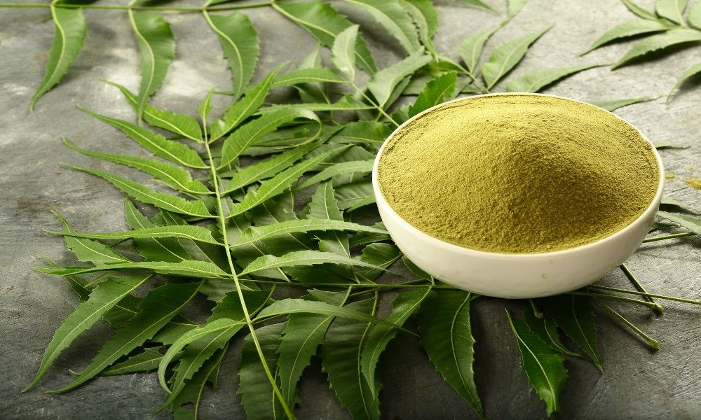 neem for skin care treatment