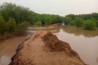 सूरतगढ़ में घग्गर नदी पर बना फ्रंटलाइन बांध टूटा