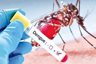 dengue situation in odisha