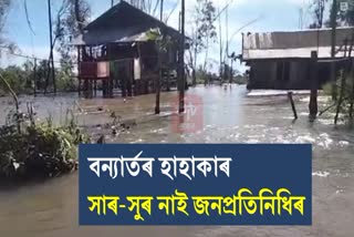 worst flood situation in Dhemaji Lougutoi gaon