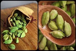 Cardamom Benefits