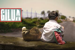 Gilua Feature Film