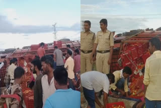 tomato truck overturned  locals rushed to grab tomato  tomato price  tomato price hike  Local people try to steal tomato  tomato prices have skyrocketed  tomato lovers  Bendara village in Asifabad district  lorry overturned  tomato truck overturned  നിയന്ത്രണം വിട്ട് തക്കാളി ട്രക്ക് മറിഞ്ഞു  തക്കാളി ട്രക്ക് മറിഞ്ഞു പാഞ്ഞെത്തി നാട്ടുകാർ  തക്കാളിക്കായി പാഞ്ഞെത്തി നാട്ടുകാർ  തക്കാളി വില  തക്കാളി  തക്കാളി മോഷണം  viral video