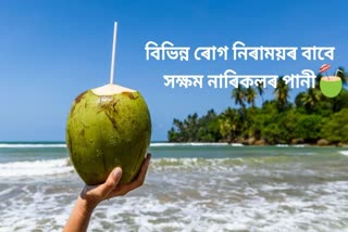 Coconut water is the cure for these diseases, just drink it and be carefree