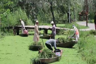 Lcma-starts-special-cleanliness-drive-in-shiya-areas-around-dal-lake