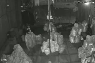 Unknown person stole tomatoes