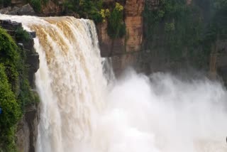 Karnataka Tourism  Karnataka Tourism attraction Gokak water Falls  തോരാമഴയില്‍ കാണാക്കാഴ്‌ചയൊരുക്കി ഗോകാക്  ഗോകാക് വെള്ളച്ചാട്ടം  Gokak water Falls