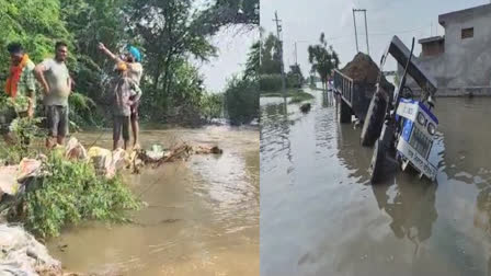 Crack in the Kasoor drain in tarntaran, 300 acres of farmers' crops destroyed