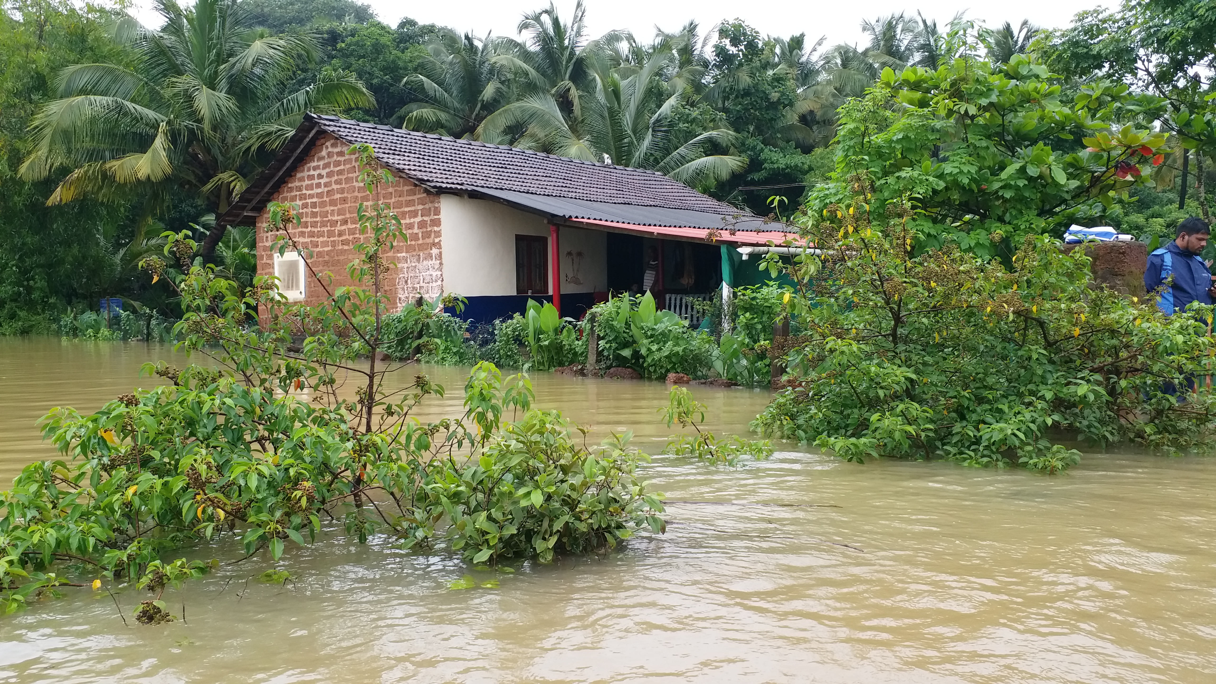 ಜಲಾವೃತವಾಗಿರುವ ಮನೆ