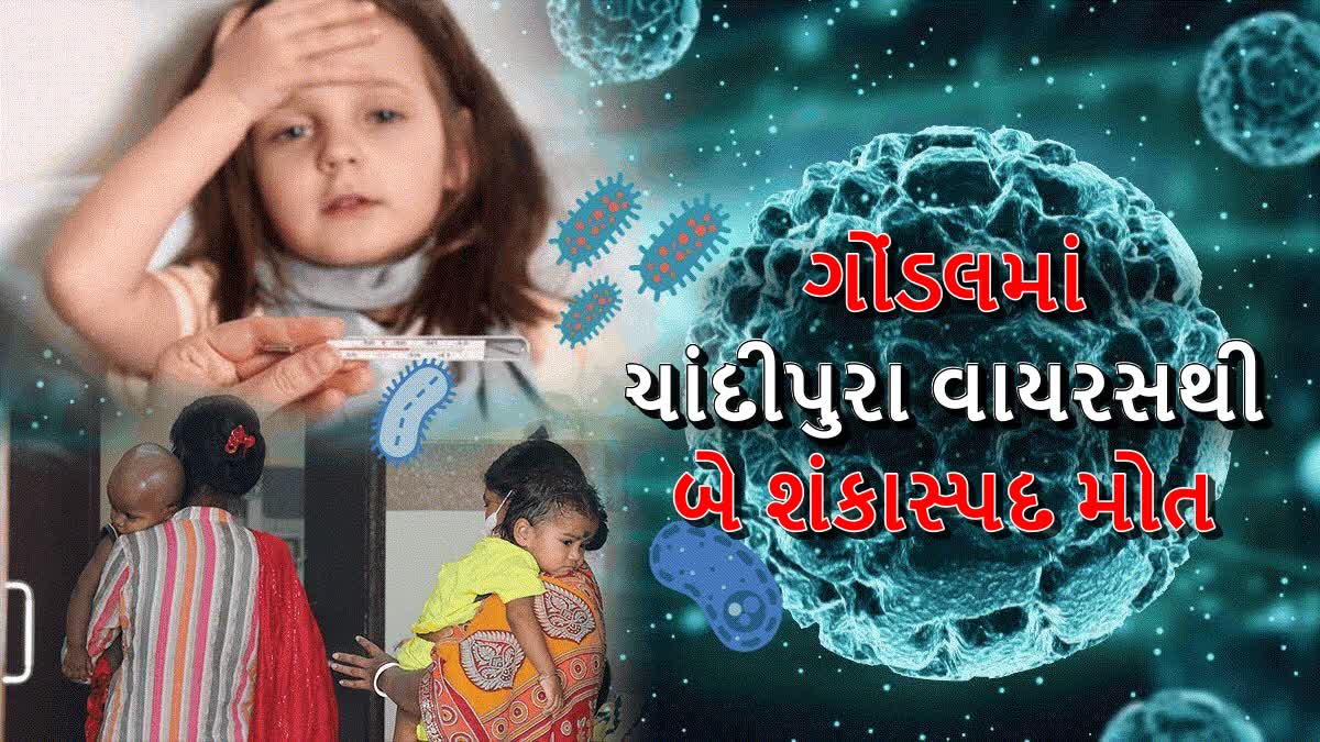 ગોંડલમાં બે બાળકોના મોત