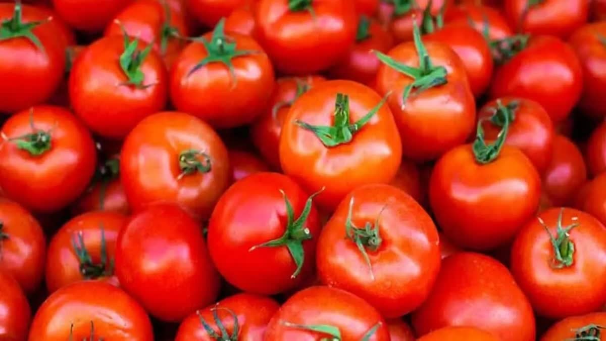 Tomato Prices In Telangana