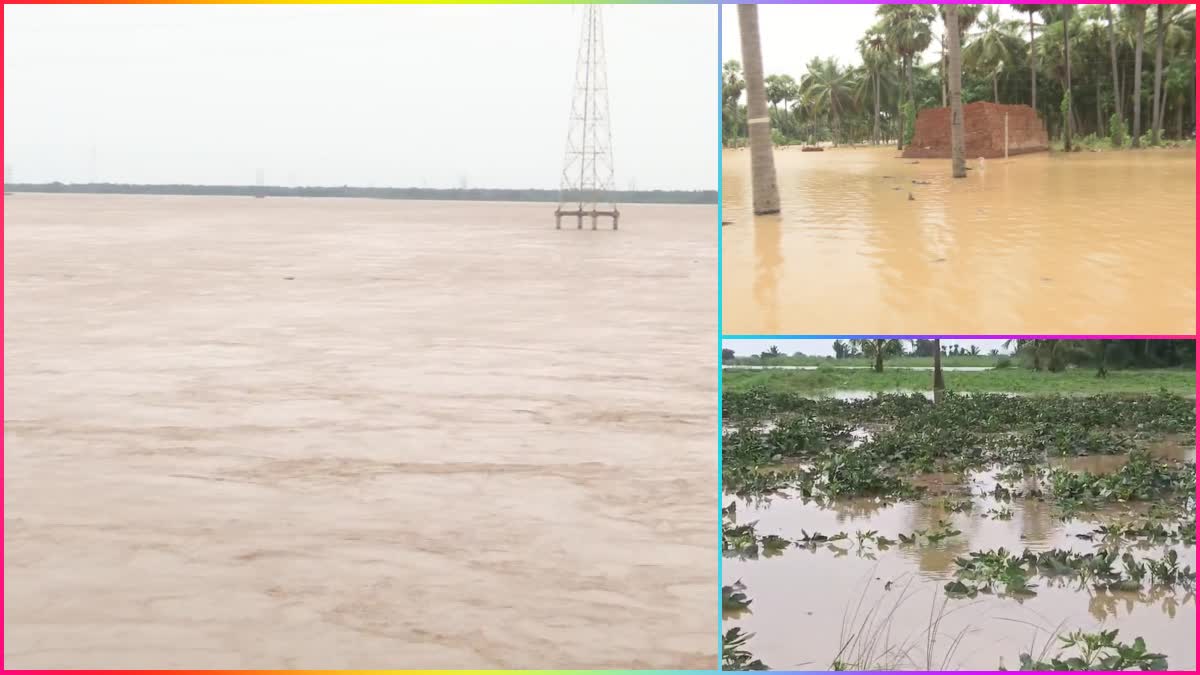 Godavari_Floods_in_Lanka_Villages