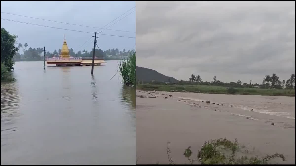 BELAGAVI: FEAR OF FLOODS IN RIVERS OF CHIKKODI AREA, CROCODILES SPOTTED FLOOD