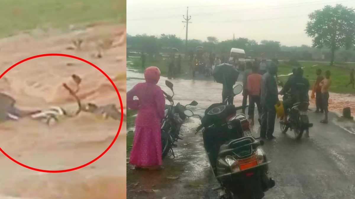 Damoh BIKERS FELL INTO OVERFLOWING DRAIN