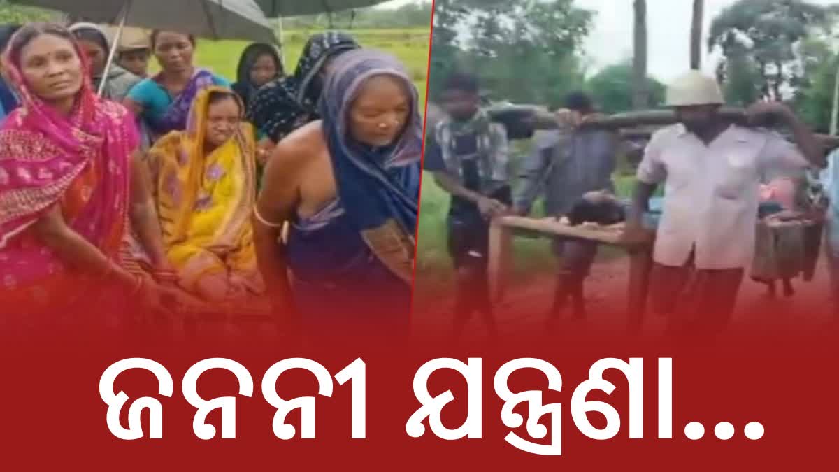 PREGNANT WOMAN CARRIED ON COT TO AMBULANCE DUE TO ROAD PROBLEM IN NUAPADA