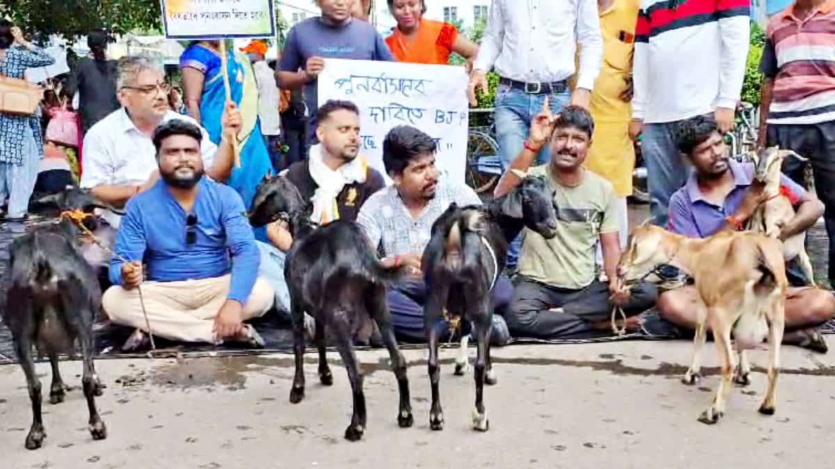 BJP workers agitation in Durgapur