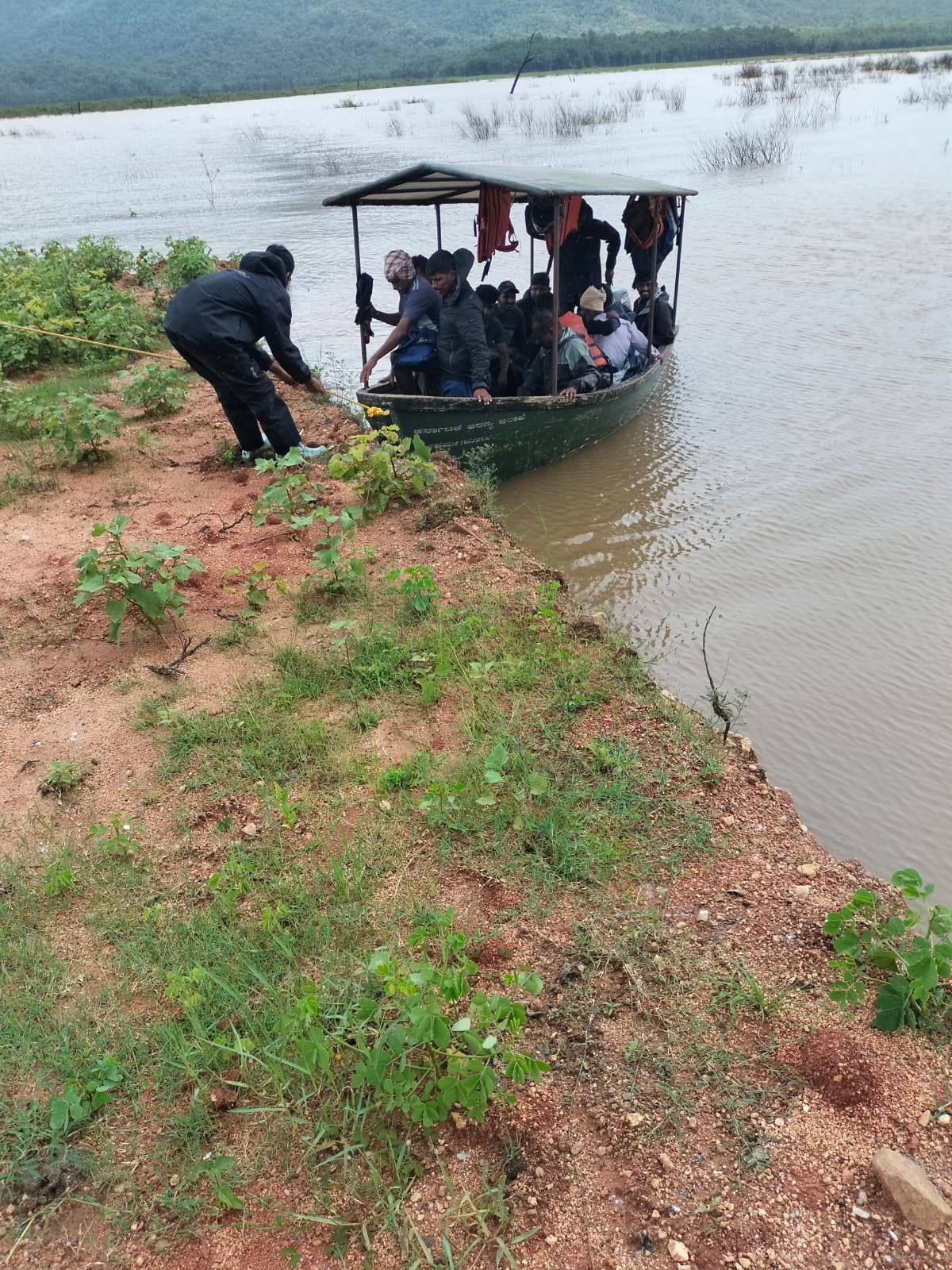 RESCUE OF MORE THAN 30 CATTLE STUCK IN THE MIDDLE OF BHADRA RIVER