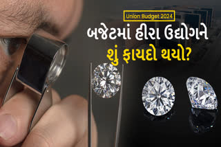 આજના બજેટમાં હીરા ઉદ્યોગ માટે ખાસ જોગવાઈ