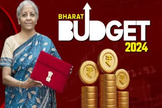 Budget 2024