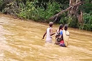 Tribals Crossing Stream Dangerously in Bhadradri Kothagudem