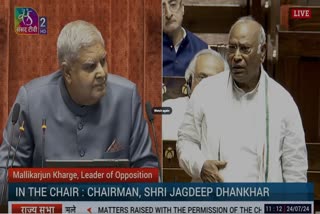 KHARGES DIG AT SITHARAMAN