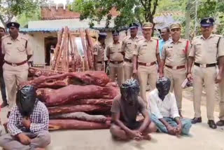 Police Seized Red Sandalwood