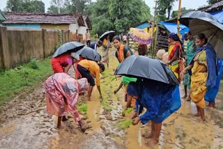 PADDY PLANTING KONDAGAON BAD ROAD