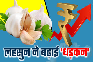 Garlic Price at Rs 400 Per KG