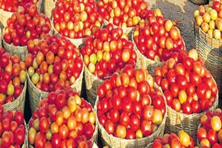 Tomato Prices