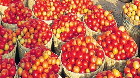 Tomato Prices