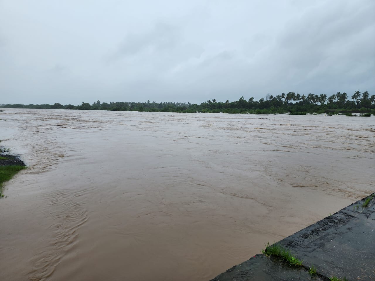 નવસારીમાં ભારે વરસાદથી નદી નાળાઓ છલકાયા