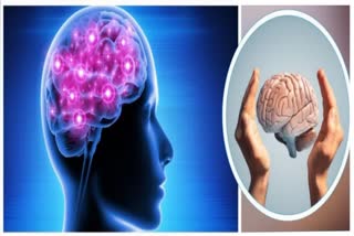 HABITS TO BOOST BRAIN FUNCTION  NEUROPROTECTIVE LIFESTYLE TIPS  DAILY BRAIN CARE STRATEGIES  BRAIN PROTECTION TECHNIQUES