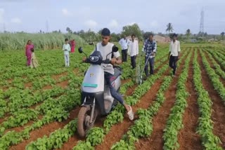 Karnataka Farmer
