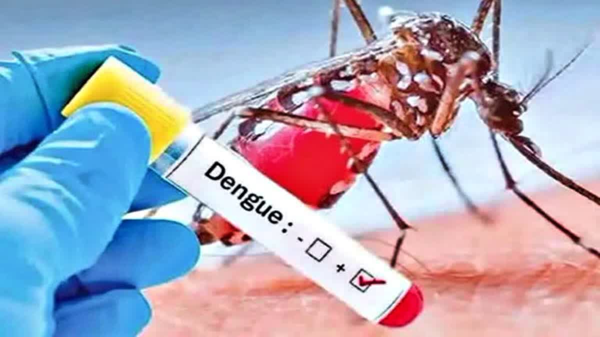 dengue terror in  gajapati