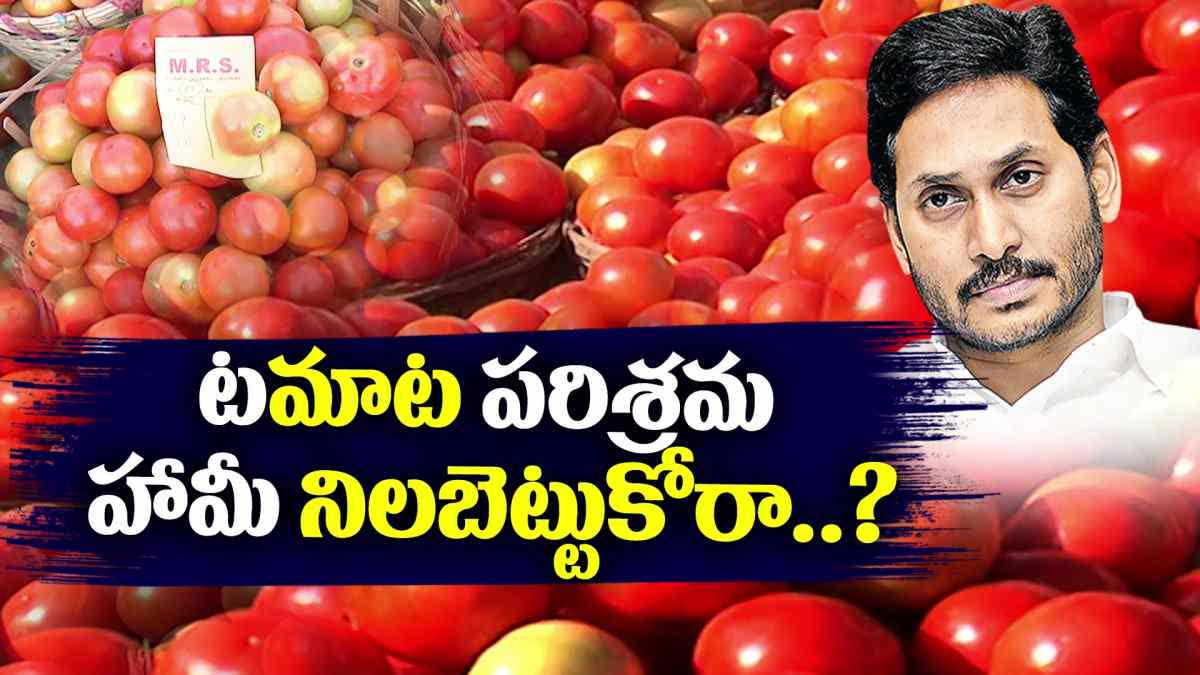 Jagan promised to set up tomato juice and onion powder Industry