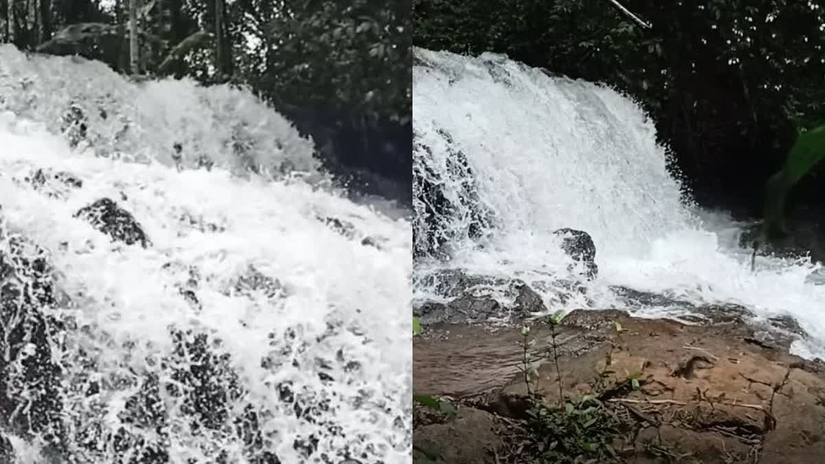 haritheerthakkara water falls  kannur  kannur water falls  tourist place  payyanur  water falls  സഞ്ചാരികളുടെ മനസ് നിറയ്ക്കുന്ന ഹരിതീർഥക്കര  വെള്ളച്ചാട്ടം കാണാൻ പോകാം  വെള്ളച്ചാട്ടത്തിന് സ്ഥലം സ്വകാര്യ വ്യക്തികൾ കൈവശം  സൗകര്യങ്ങളും പരിമിതമായിരുന്നു  ഹരിതീർഥക്കരയെക്കുറിച്ച് അറിയപ്പെടാതെ പോയി  കാങ്കോൽ ആലപ്പടമ്പ പഞ്ചായത്തില്‍  അഡ്വഞ്ചർ സ്പോട്ടും  കണ്ണൂർ  വെളളച്ചാട്ടം  ടൂറിസം  ടൂറിസം വാർത്ത  ടൂറിസം പദ്ധതി  പയ്യന്നൂരിനടുത്ത് കാങ്കോൽ ആലപ്പടമ്പ  ഒരു കോടിയുടെ പദ്ധതി  മഴക്കാലത്ത് നൂറു കണക്കിന് വിനോദ സഞ്ചാരികളാണ്  40 സെന്‍റ്‌ സ്ഥലമാണ് സ്വകാര്യ വ്യക്തികൾ നൽകിയത്  പയ്യന്നൂരില്‍ 12 കിലോമീറ്റർ ഹരിതീർഥക്കരയിലേക്ക്  പഞ്ചായത്ത് സ്വപ്‌ന പദ്ധതിക്ക്‌ വേഗത കൂടുമെന്നാണ്  അപകട സാധ്യത കുറവാണ്  ഹരിതീർഥക്കര വെള്ളച്ചാട്ടം