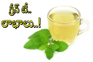 Green Tea Health Benefits In Telugu