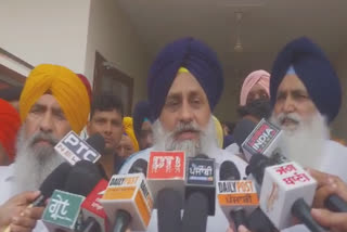 In Amritsar, Shiromani Akali Dal president Sukhbir Badal called CM Mann a dictator